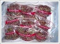 Wholesale Crimson Seedless Grape (JNFT-040) from china suppliers