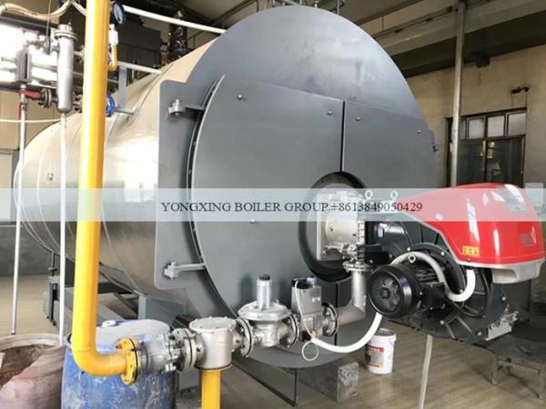 Quality Quality Best 500 - 20000kg/h Oil Gas Fired Steam Boiler With Original Riello Burner for sale