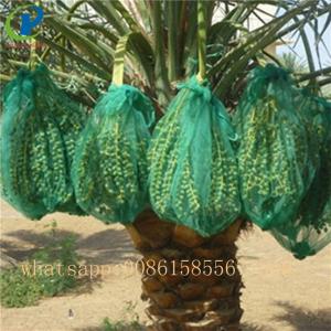 Wholesale 100% virgin polyethylene PE net bags for vegetables date palm packaging from china suppliers