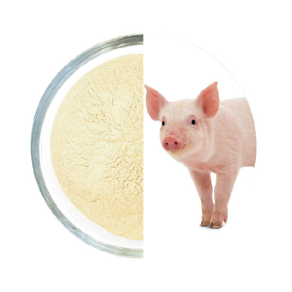 Quality Nutritious Swine Probiotics In Nursery Pigs On Tract Inflammation for sale