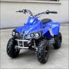 Air Cooled 2 Stroke Mini 49CC ATV Quad Bike from Chinese Factory for sale