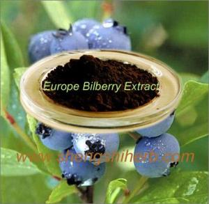 Wholesale Bilberry Extract from china suppliers