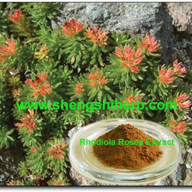Buy cheap Rhodiola Extract from wholesalers