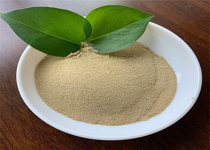 Wholesale Top Quality Soy Protein Hydrolysis Free Amino Acid 80 Factory In China with Light Yellow Powder from china suppliers