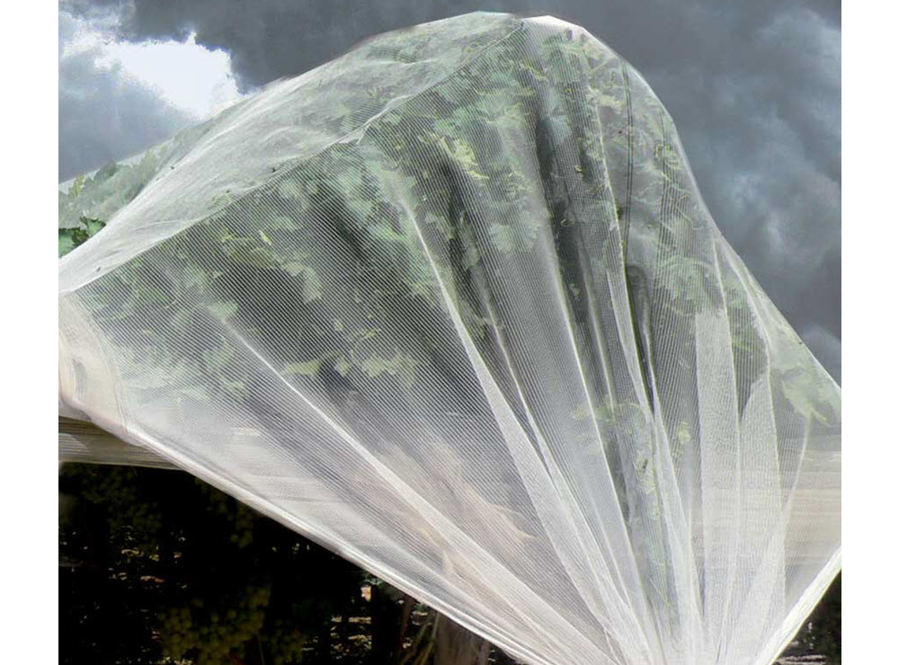 Wholesale Anti-Hail Net, Woven Nets to Protect Plants from china suppliers