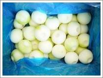 Wholesale Peeled Yellow Onion (JNFT-011) from china suppliers