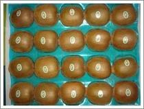 Wholesale Qinmei Kiwi (JNFT-037) from china suppliers
