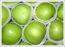 Wholesale Granny Smith (Green Apple) (JNFT-027) from china suppliers