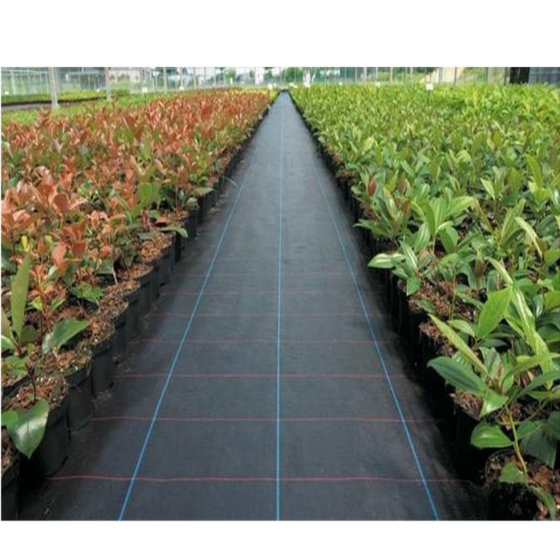 Wholesale Factory Supply China High Quality Black PP Woven Weed Barrier/Weed Control Fabric from china suppliers