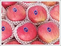 Wholesale Fuji Apple (JNFT-026) from china suppliers