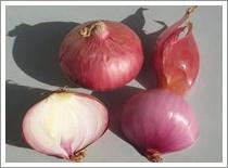 Wholesale Red Onion (JNFT-014) from china suppliers