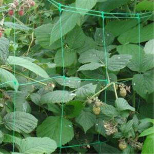 Wholesale Netting Garden Durable Nylon Trellis Net Support Climbing Plant Vine Support from china suppliers