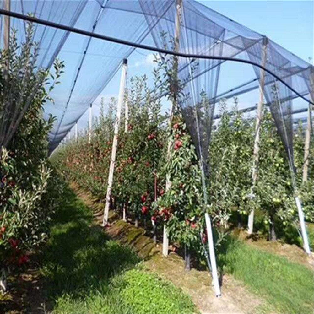 Wholesale HDPE agriculture olive harvest nets for sale from china suppliers