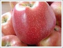Wholesale Huaniu Apple (JNFT-032) from china suppliers
