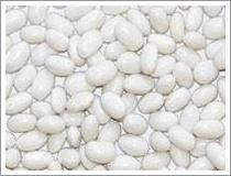 Wholesale White Kidney Bean (JNFT-063) from china suppliers