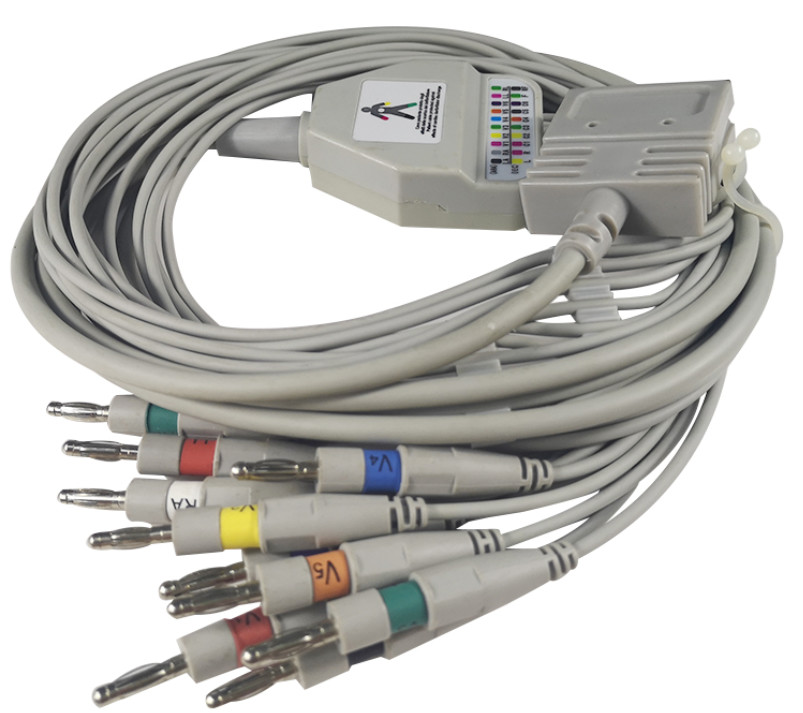 Wholesale Burdick Ek10  EKG Cable 10 Leads Banana 4.0 End 12 Months Warranty from china suppliers