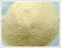 Wholesale Garlic Granule (JNFT-041) from china suppliers