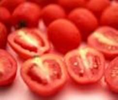 Wholesale Tomato Extract (Lycopene) from china suppliers