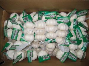 Wholesale White Garlic from china suppliers
