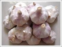 Wholesale Normal White Garlic (JNFT-004) from china suppliers