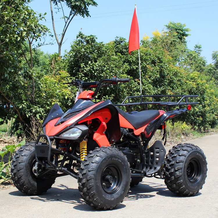 200cc Four Wheel ATV , 8Rim Air Cooled ATV With Front Double A-Arm for sale