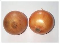 Wholesale Yellow Onion (JNFT-012) from china suppliers