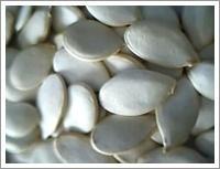 Wholesale Snow White Pumpkin Seeds (JNFT-068) from china suppliers