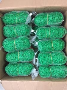 Wholesale Green PE Green Trellis Netting Climbing Frame Gardening Net Anti Pest Weed Plant Garden from china suppliers
