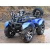 Water Cooled 250CC Four Wheel Atv 13.9HP With Front Drum Rake for sale