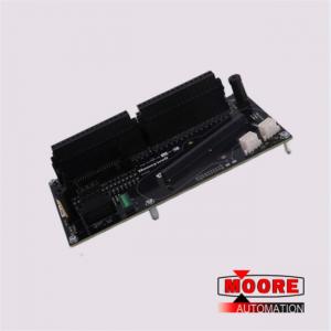 Wholesale 8C-TDODA1 51307149-175 HONEYWELL  Digital Output Module from china suppliers