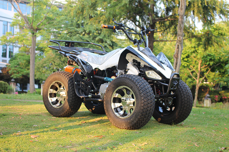 250cc 4 Stroke Single Cylinder Water Coole Four Wheel Atv 77km/H for sale