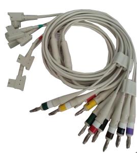 Wholesale Medical 10 LEAD ECG Lead Cable Leadwire  989803151641 IEC For TC30/TC50 from china suppliers