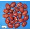 Buy cheap Lychee Seed Extract/Lychee Extract from wholesalers