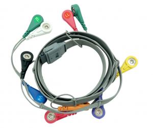 Wholesale BI 9800 7 Lead Holter Cable Bionmedical Compatible 12 Months Warranty from china suppliers
