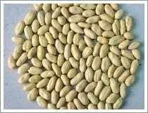 Wholesale Blanched Peanuts (JNFT-062) from china suppliers