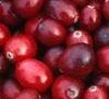 Wholesale Cranberry Extract from china suppliers