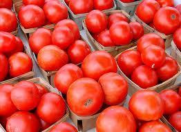 Wholesale Tomato Fermentation (Lycopene) from china suppliers