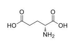 Wholesale (R)-2-Aminopentanedioic Acid L-Glutamic Acid from china suppliers