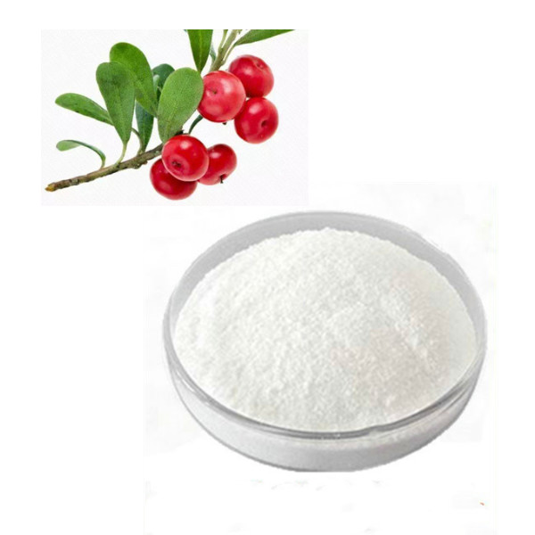 Wholesale 99% Alpha Arbutin Skin Care Raw Materials Bearberry Extract Powder from china suppliers