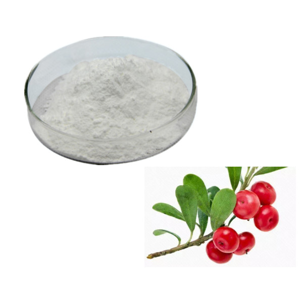 Wholesale CAS 84380-01-8 Pure Alpha Arbutin Powder C12H17O7 For Skin Lightening from china suppliers