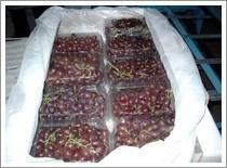 Wholesale Flame Seedless Grape (JNFT-039) from china suppliers