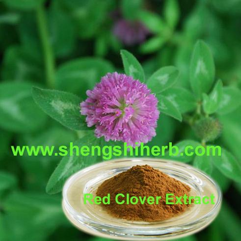 Buy cheap Red Clover Extract from wholesalers