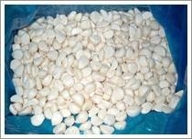 Wholesale IQF Peeled Garlic (JNFT-056) from china suppliers