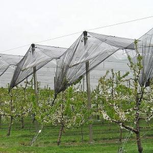 Wholesale Polyester mesh fabric white plastic anti hail net for greenhouse 5m width from china suppliers