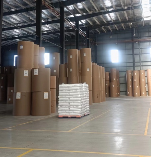 Biodegradable Customizable PE Coated White Paper Cup Rolls Flexography Printing Beverage Wrapping