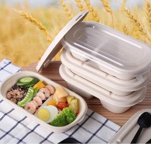 Wholesale 100% Compostable Disposable Eco Packaging Food Grade Sugarcane Pulp Lunch Box from china suppliers