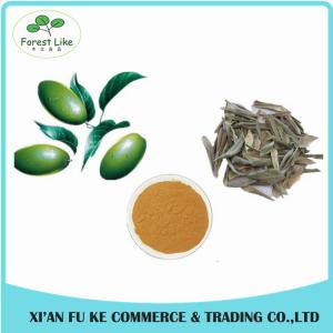 China High Quality Olive Leaf Extract Oleuropein 25% on sale