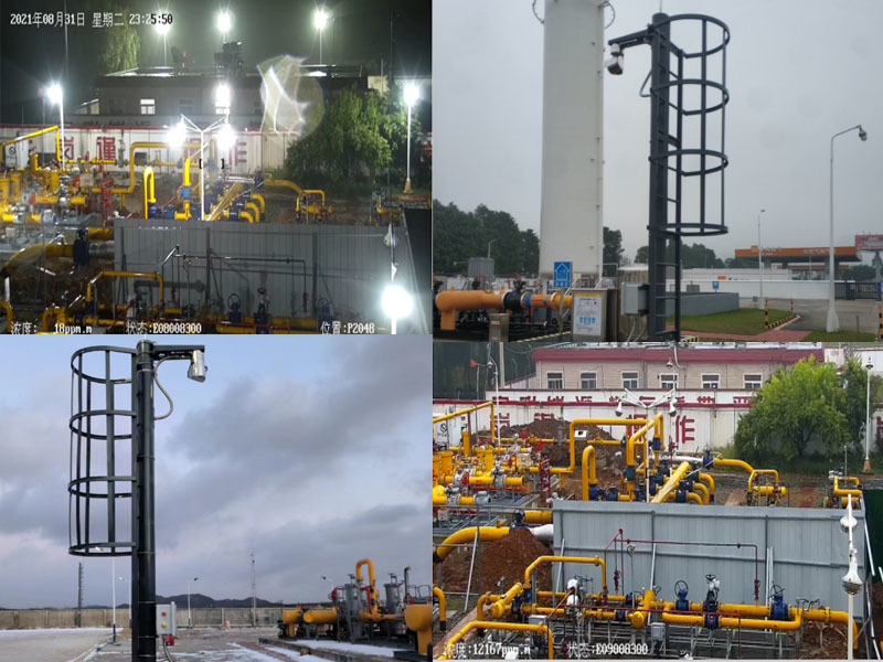 Stationary Continuous Methane Combustible Gas Detector System Portable ODM