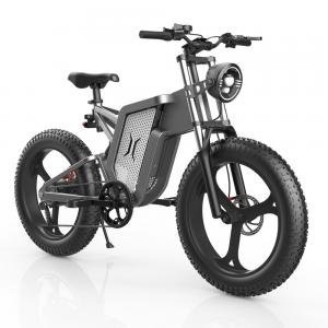 China Trendy 1000w 48v 14ah Fat Tire Electric Mountain Bike With Rear Hub Motor on sale