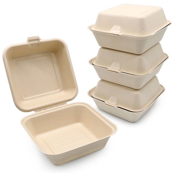 Custom Environmental-Friendly Disposable Biodegradable Sugarcane Fiber Clamshell Container Lid Takeaway Lunch Box